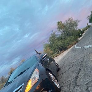 Meet your Posher, Terry